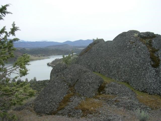Picture 20