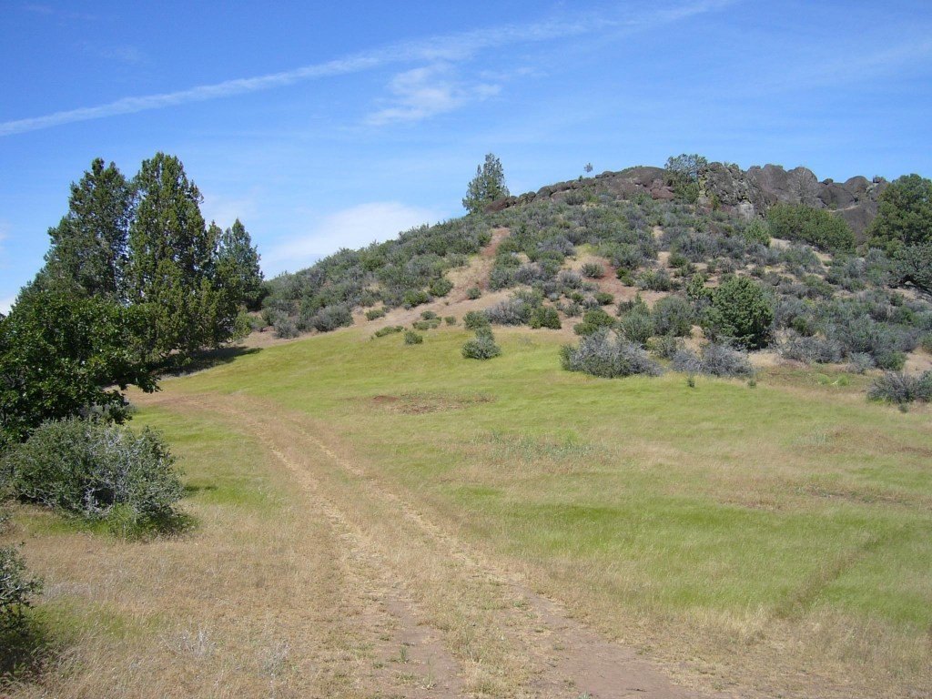 Picture 4