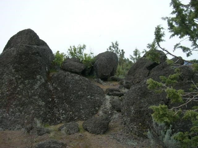 Picture 19