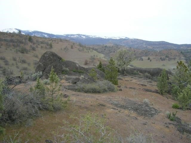 Picture 21