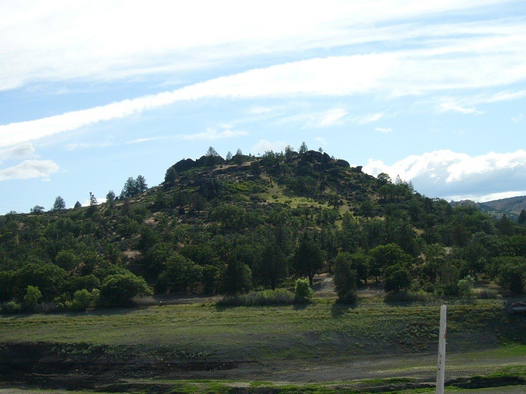 Picture 13