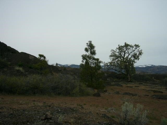 Picture 22