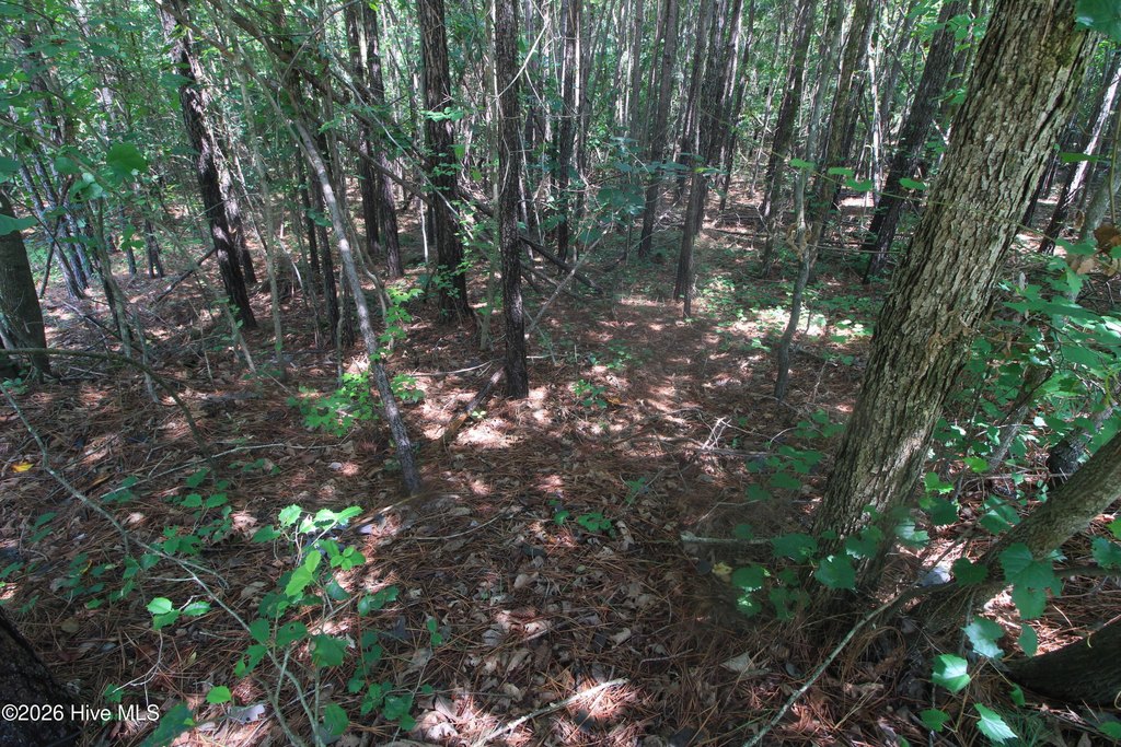 Picture 15