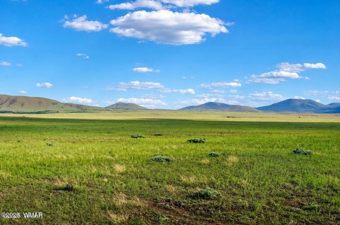 Land in White Mountain Area