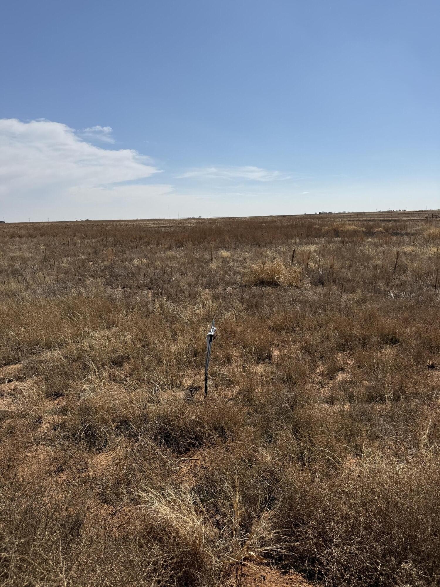 Shallowater, TX - 10 Acres
