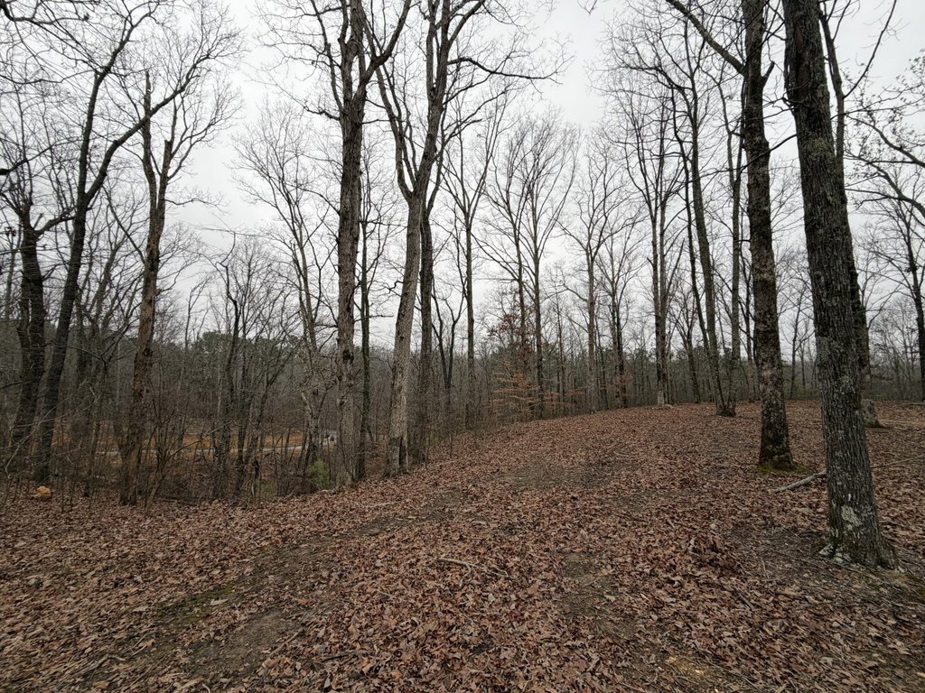 Picture 8