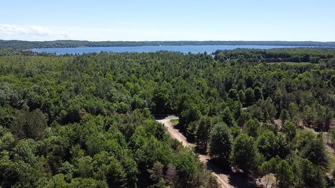 BEAR LAKE, MI