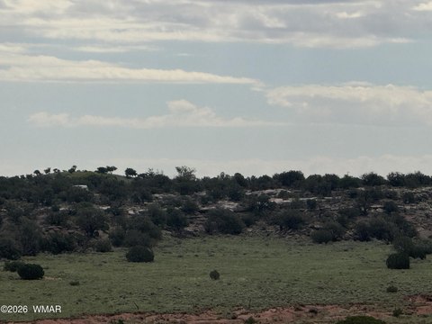 40 Acres Fenced Land, Snowflake