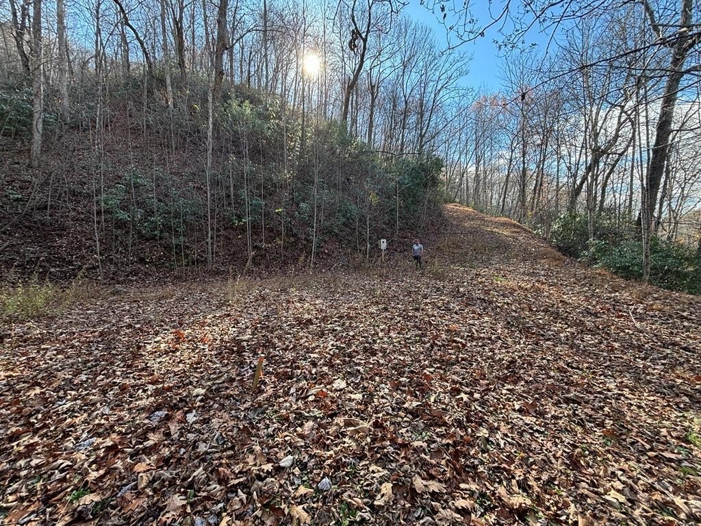 Creek-Front Land in Bryson City