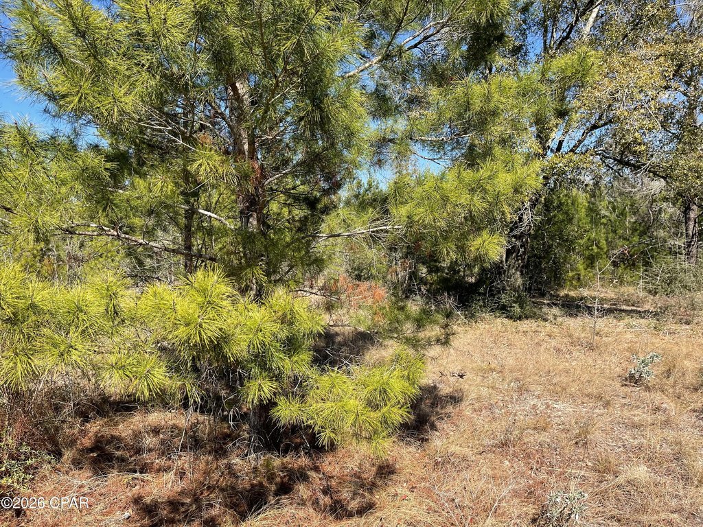 Picture 6