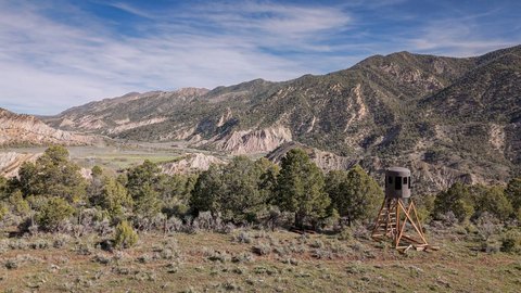Hunting and Ranch Land