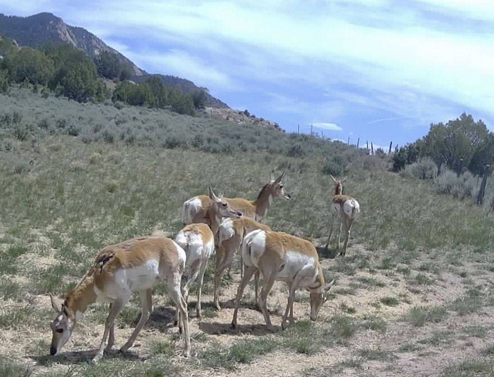 Picture 23