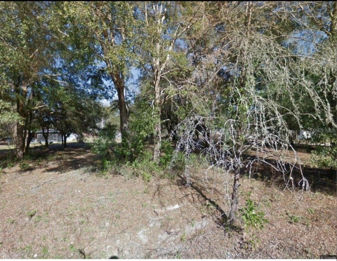 Fanning Springs 1-Acre Parcel