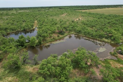 Ranch Land with FM 600 Frontage