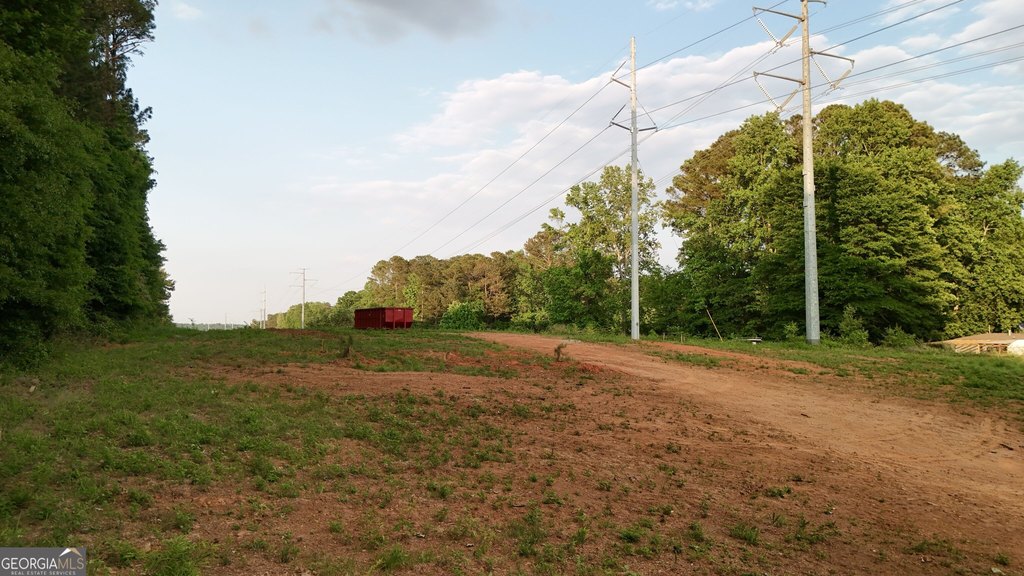 Picture 5
