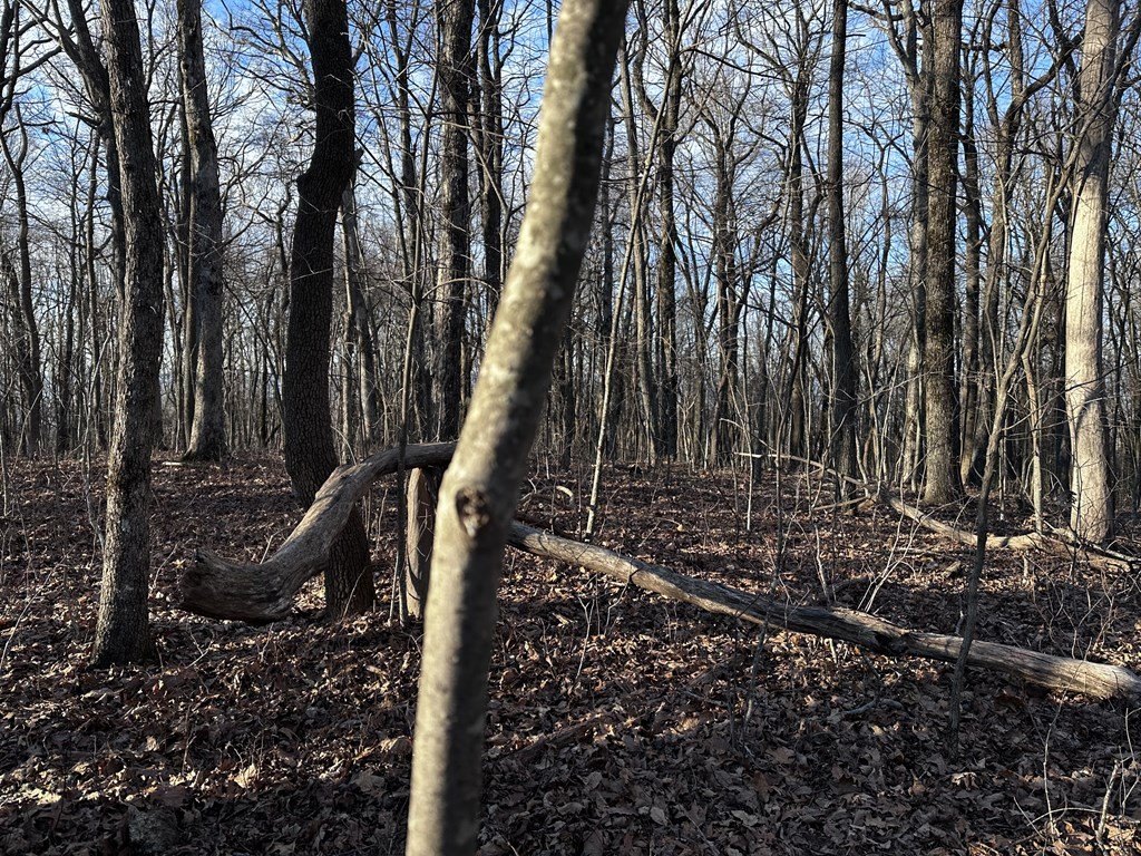 Picture 8