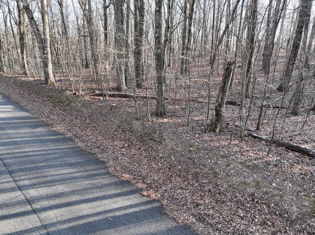 Picture 16