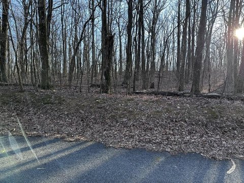 Mountain Residential Land Parcel