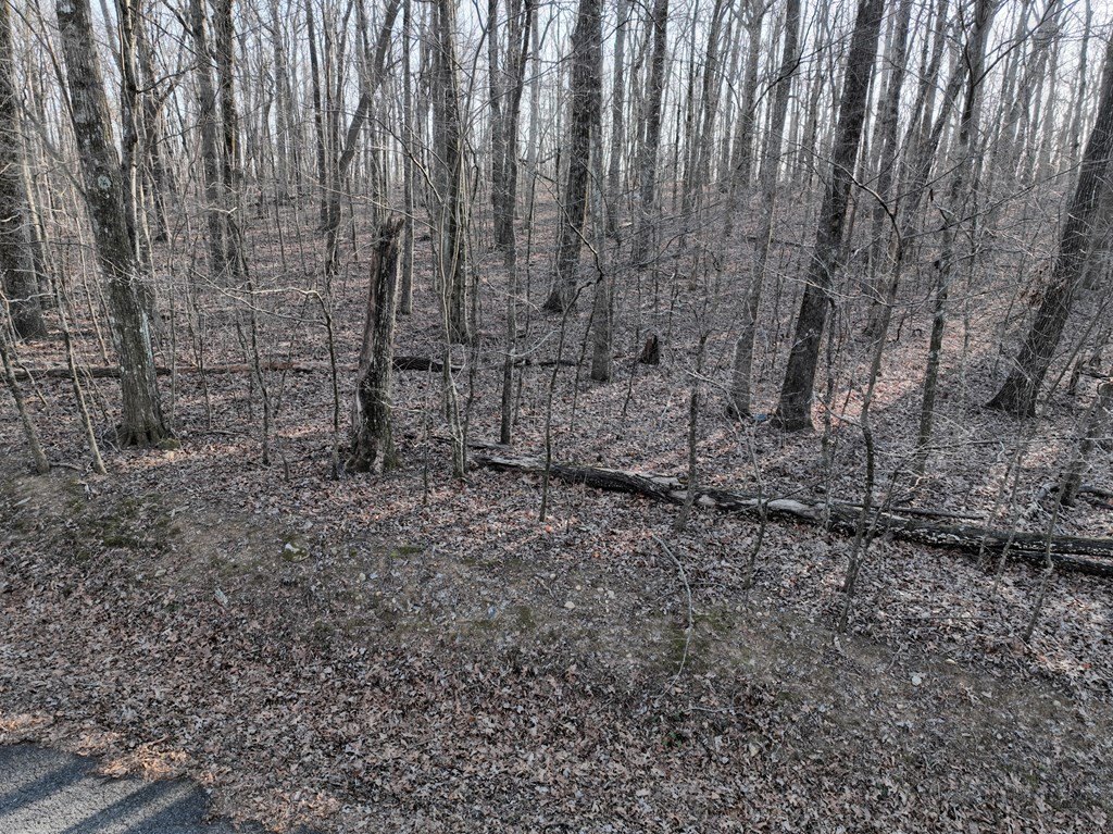 Picture 17