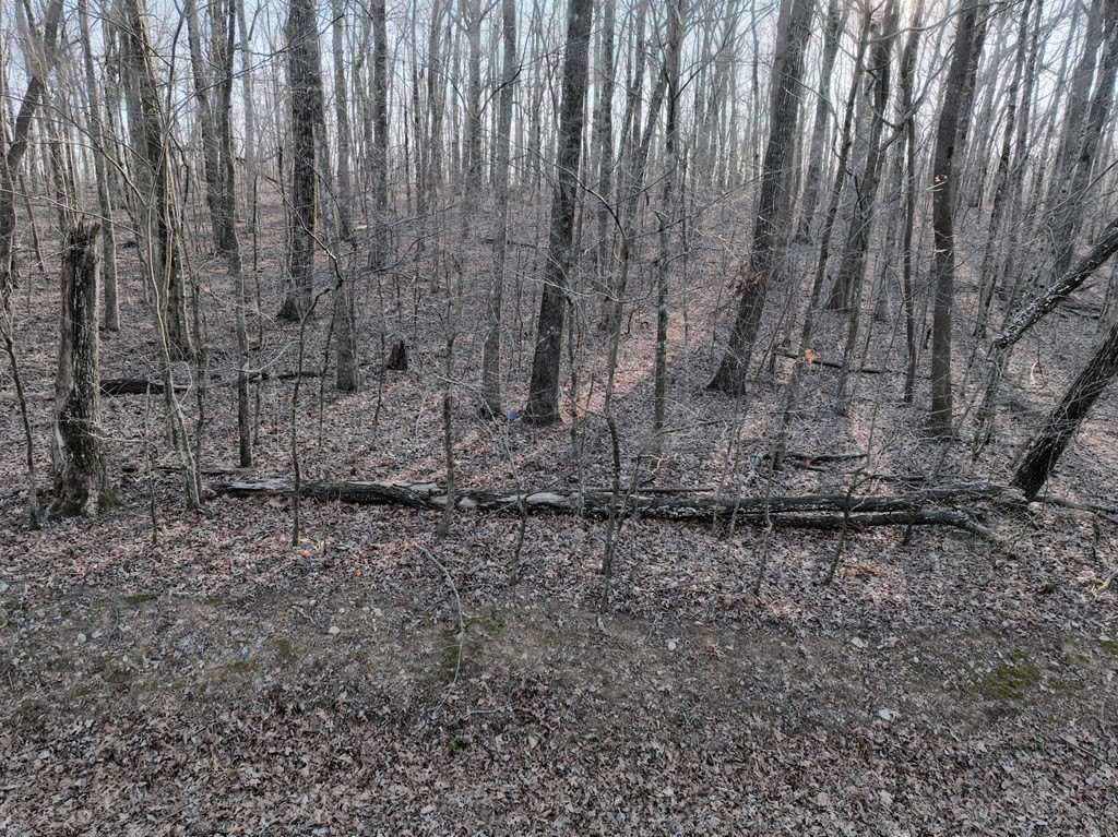 Picture 18