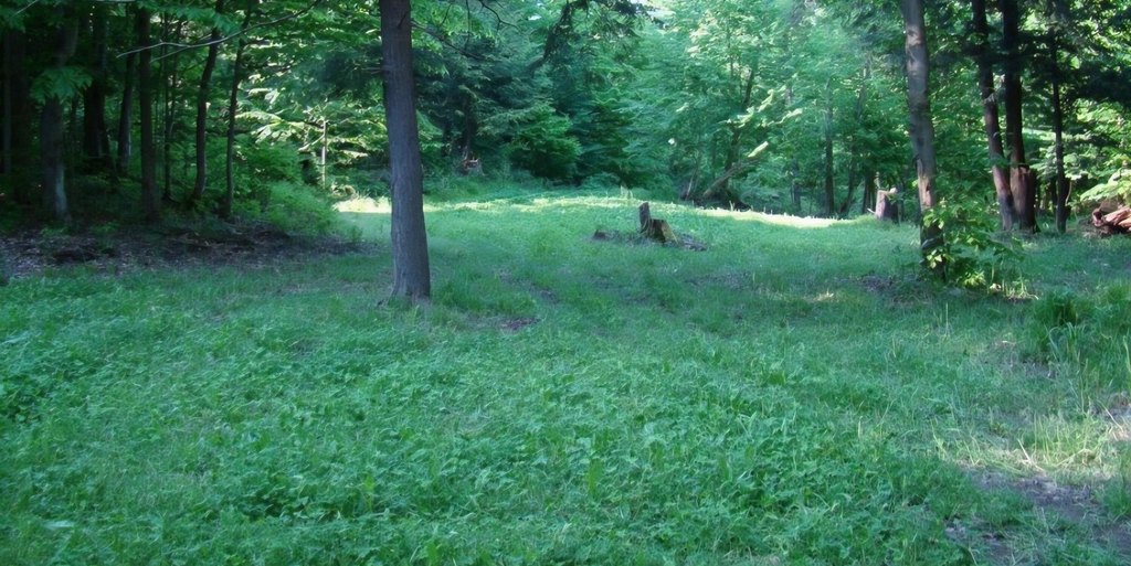 Picture 49