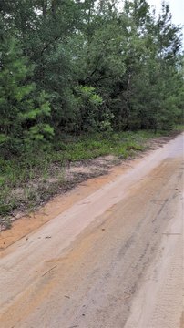 Land, INTERLACHEN, FL