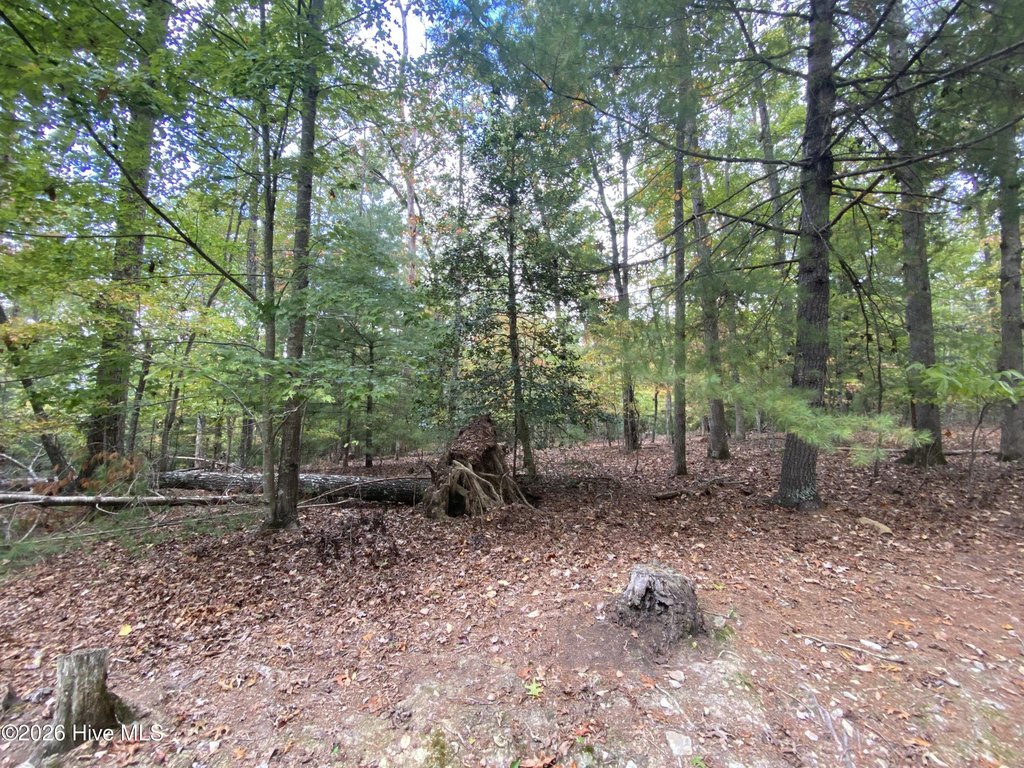 Picture 3