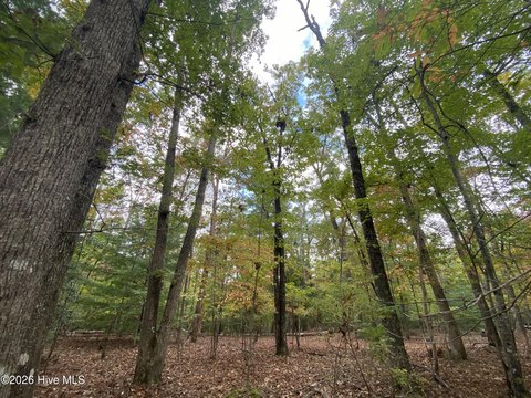 Land, Hayesville, NC