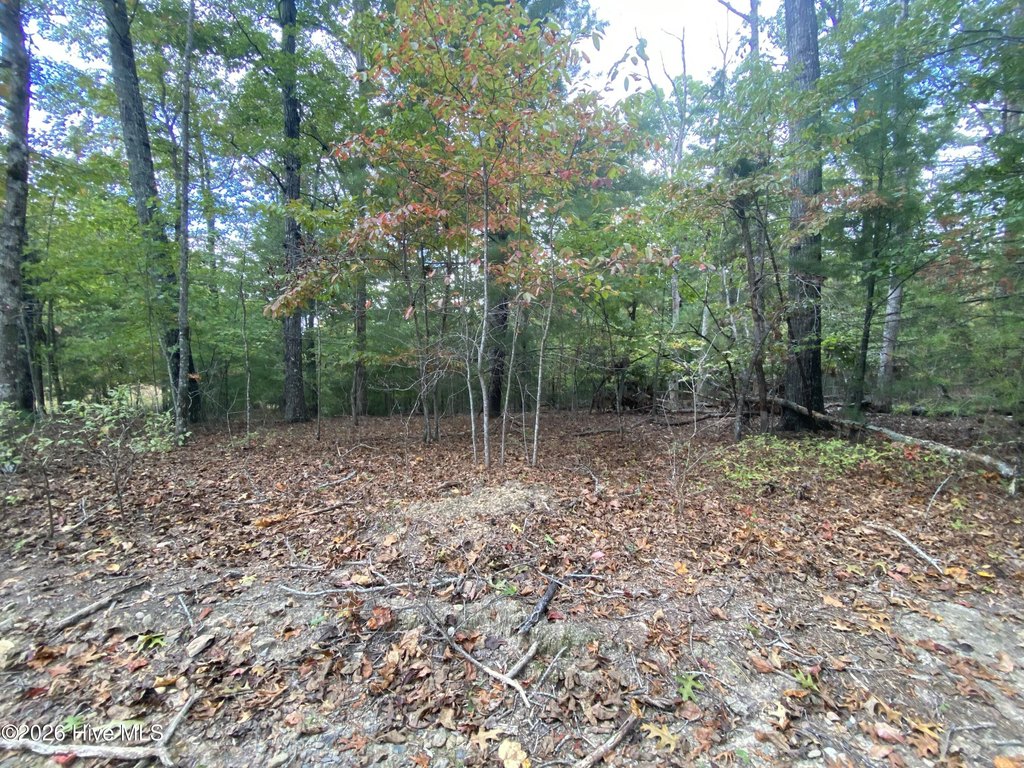 Picture 12