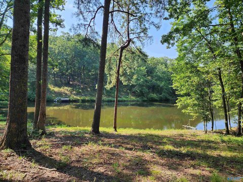 Lakefront Land in Mentone, AL