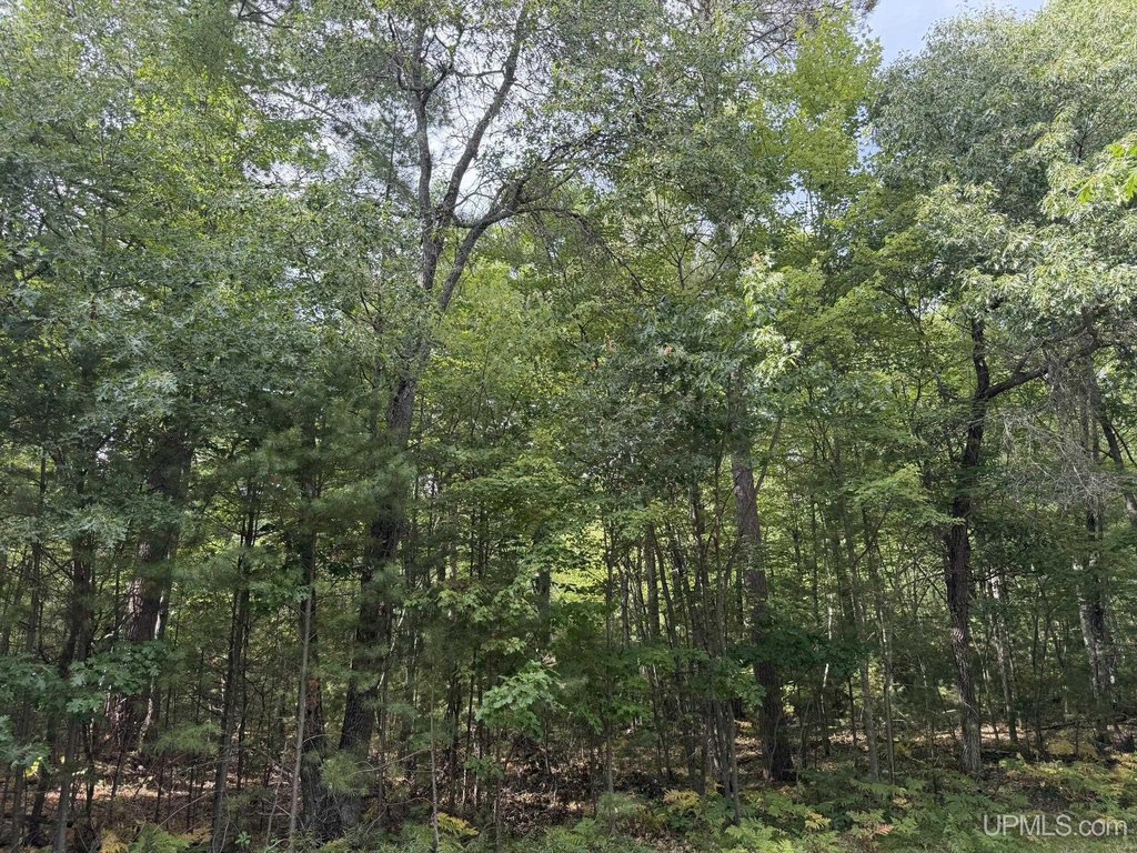Picture 19