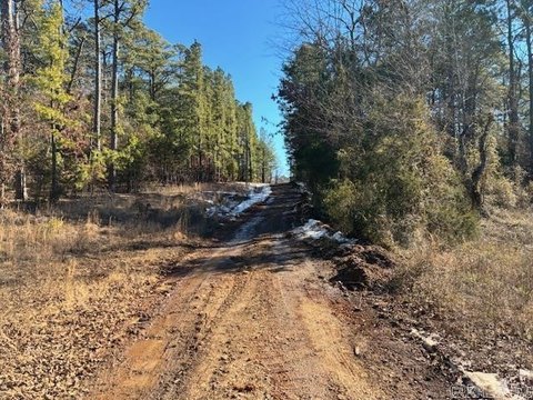 Vacant Land in Clinton, AR