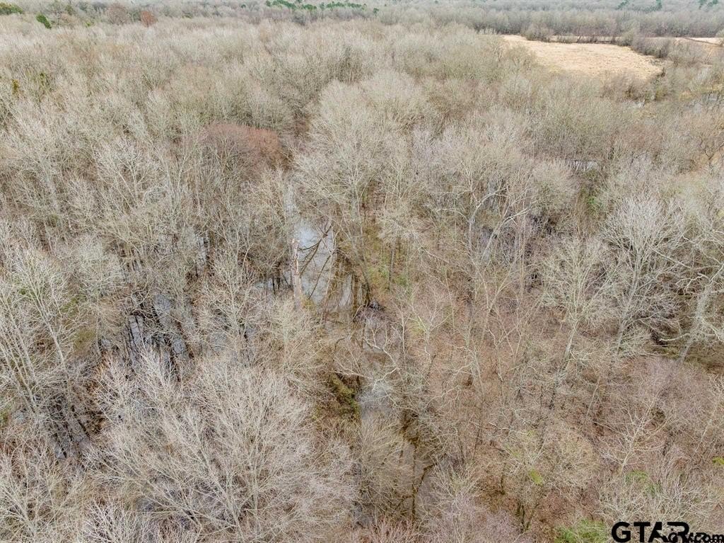 Wooded Acreage Near Pittsburg, Texas