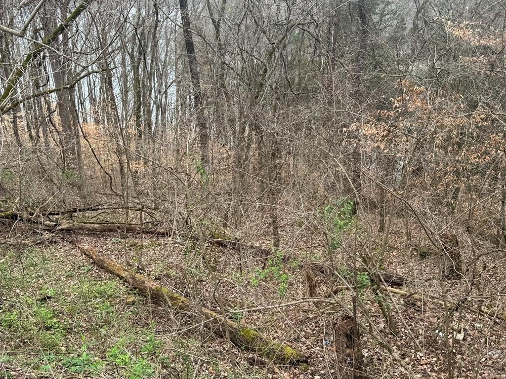 Smithville, TN Building Lot