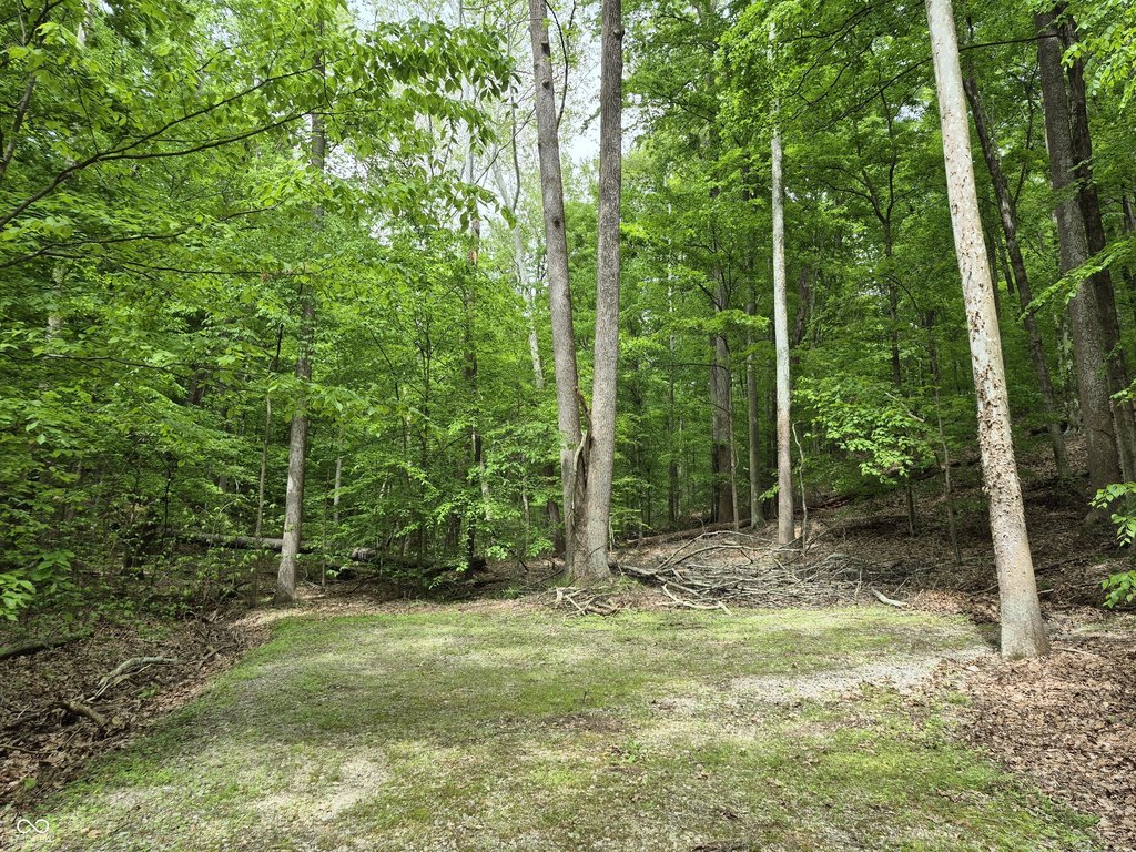 Picture 14