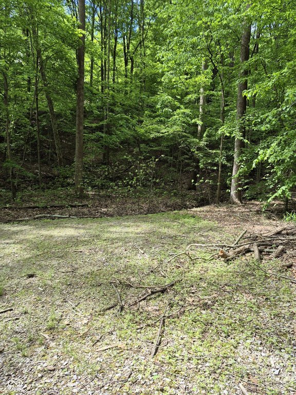 Picture 11