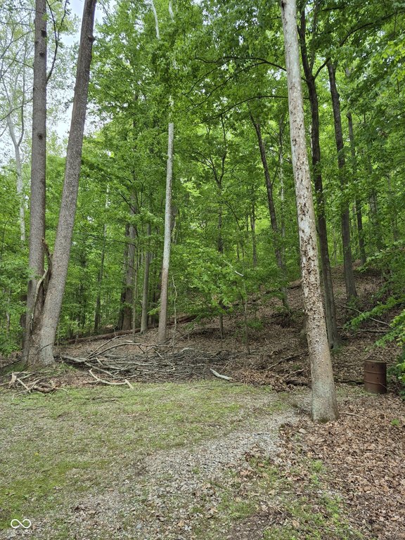 Picture 6