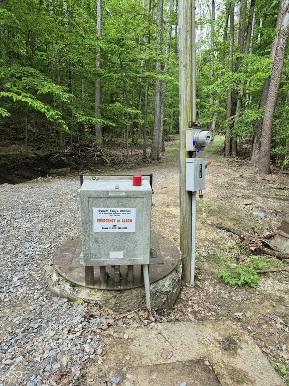 Picture 2