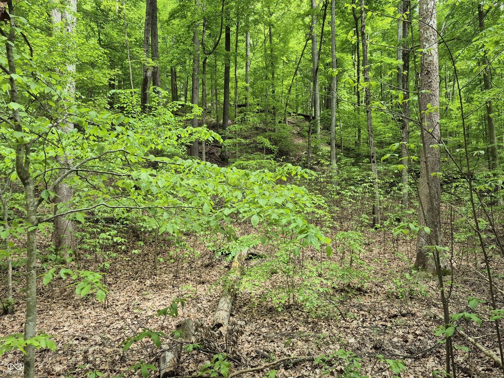 Picture 16