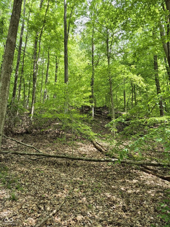 Picture 10