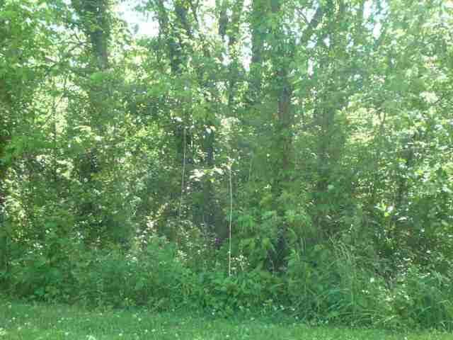 Picture 9