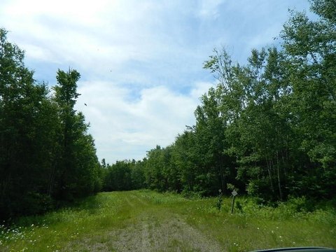 Recreational Hunting Land with Private Road