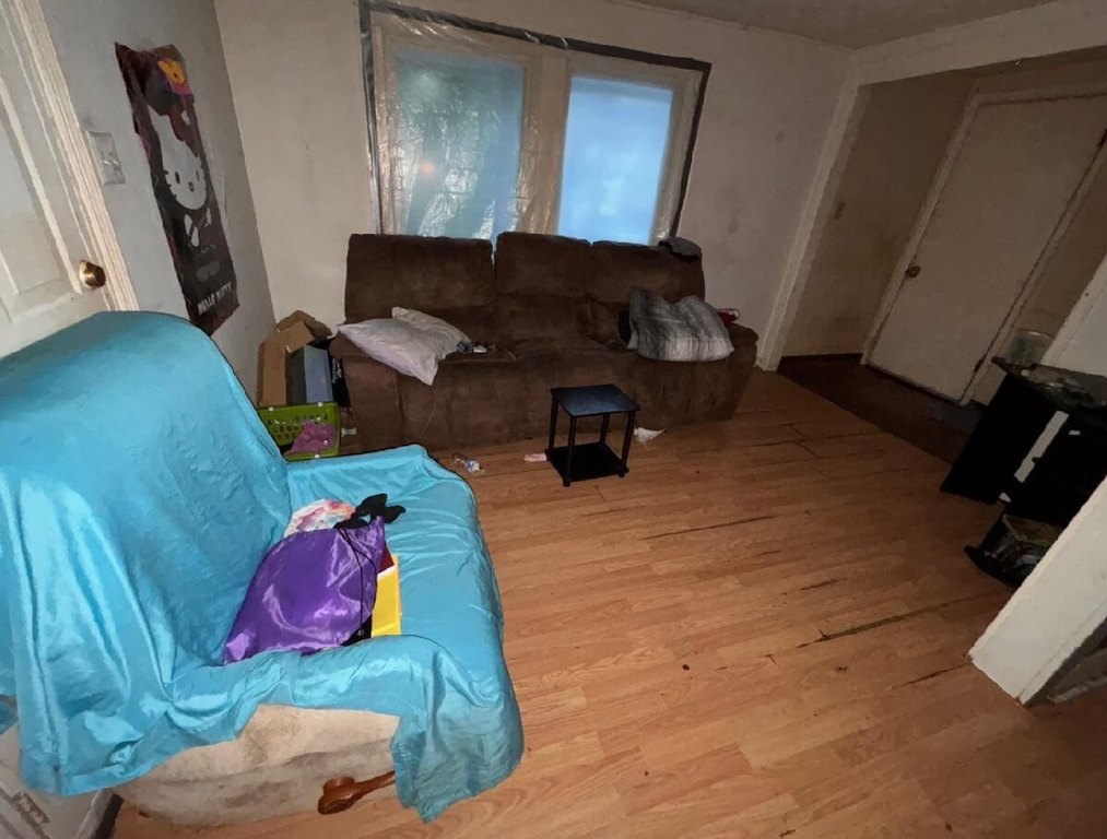 Picture 11
