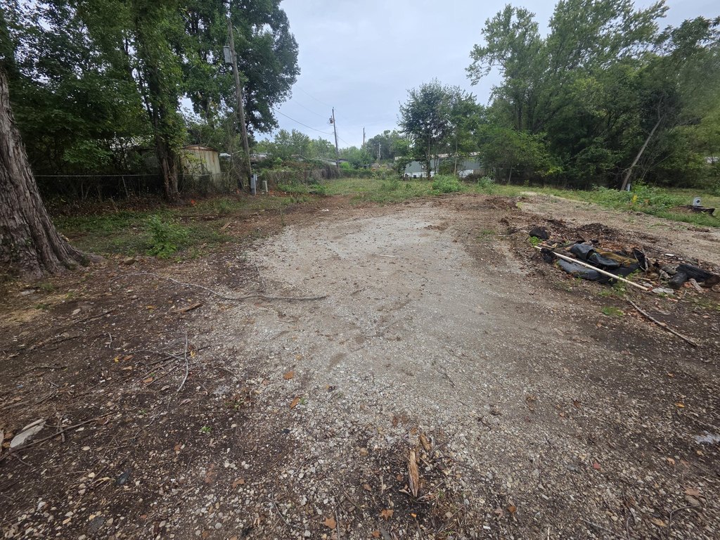 Picture 2