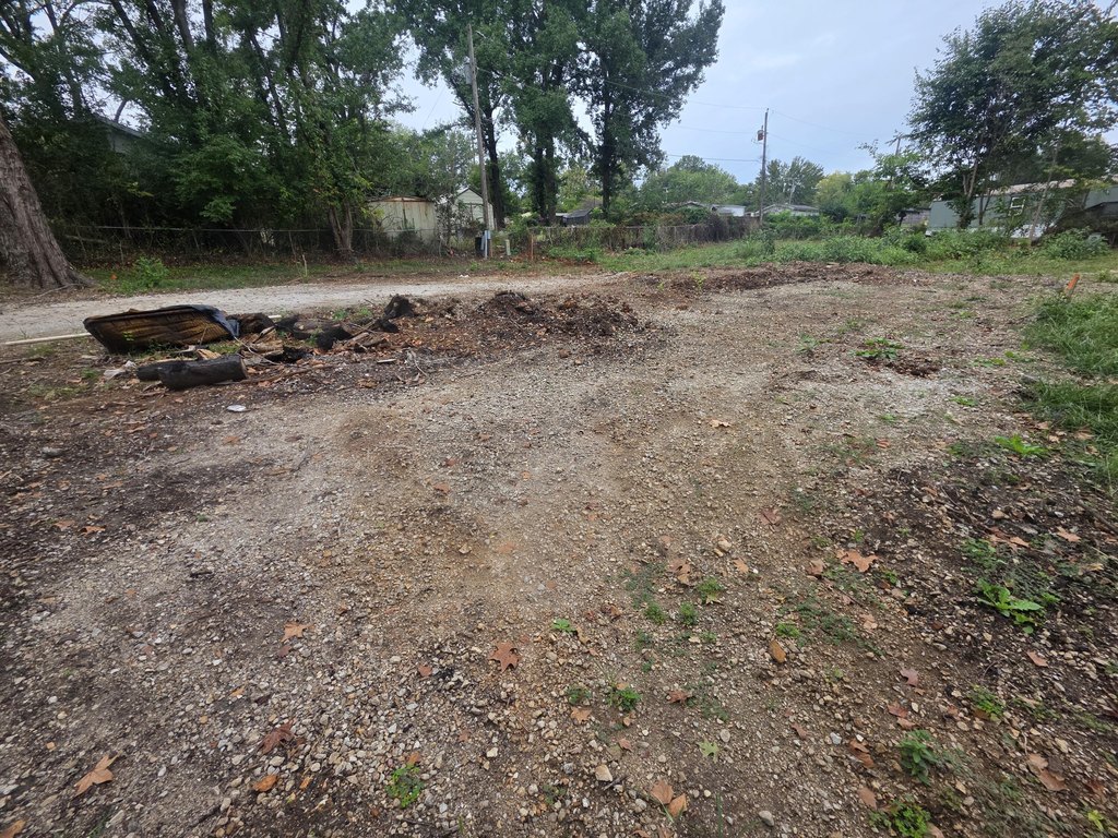Picture 3