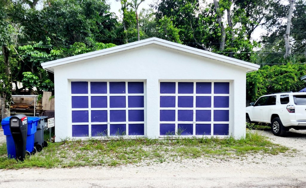 Picture 8