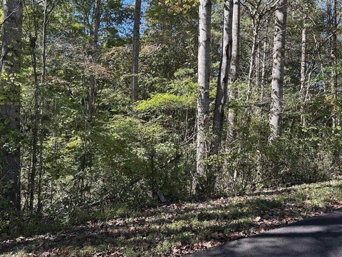 Scottsville, KY Acreage Opportunity