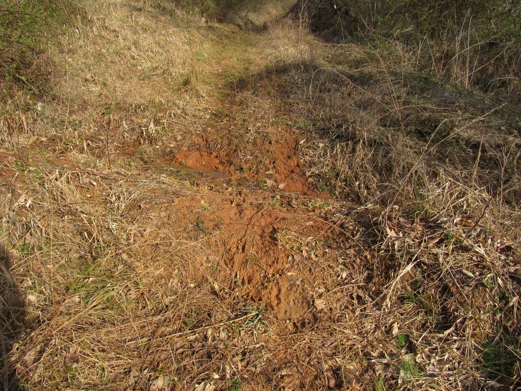 Picture 11