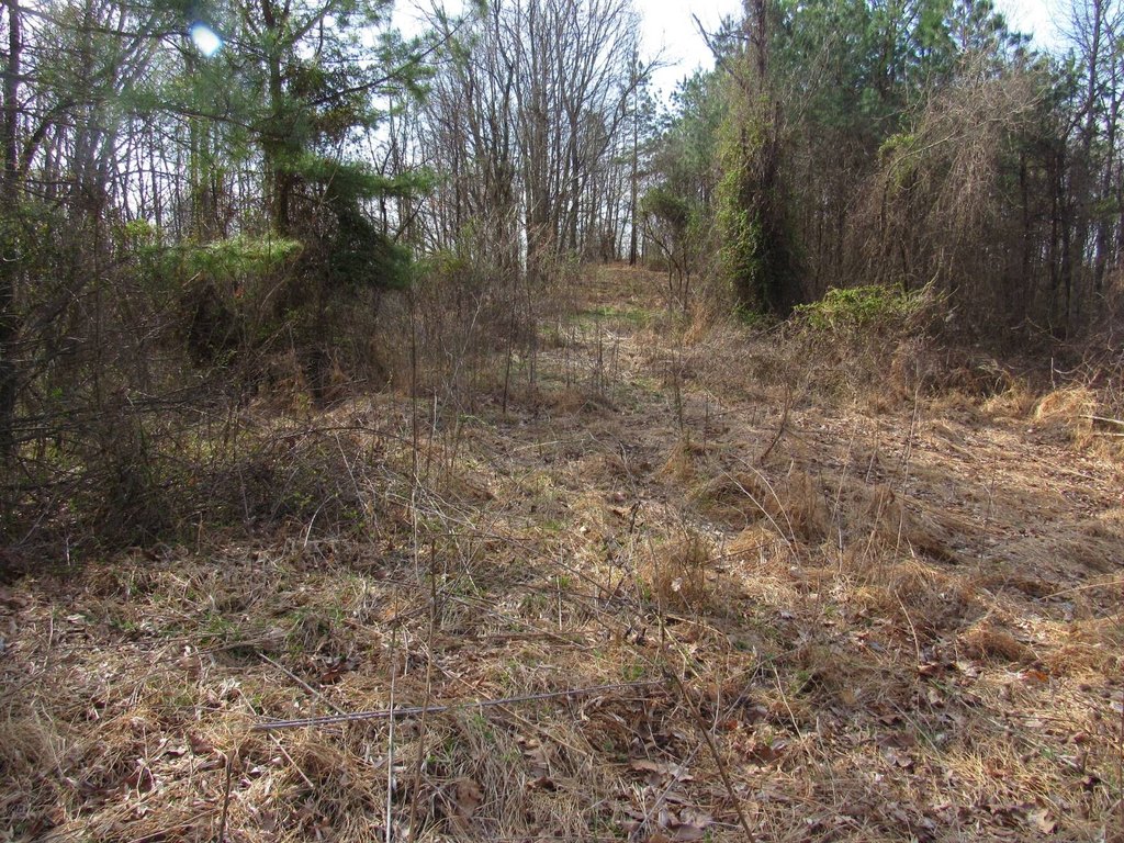 Picture 12