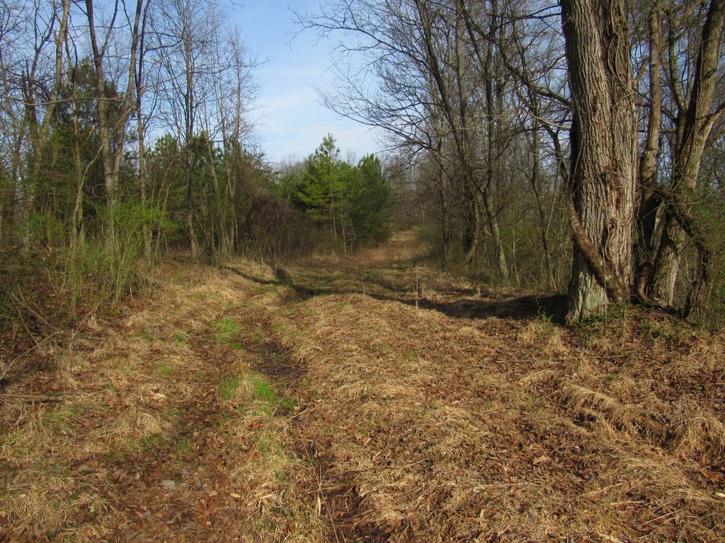 Picture 14